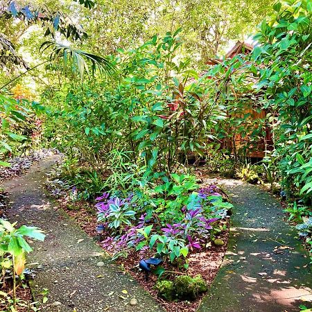 Coral Hill Bungalows Cahuita Eksteriør billede
