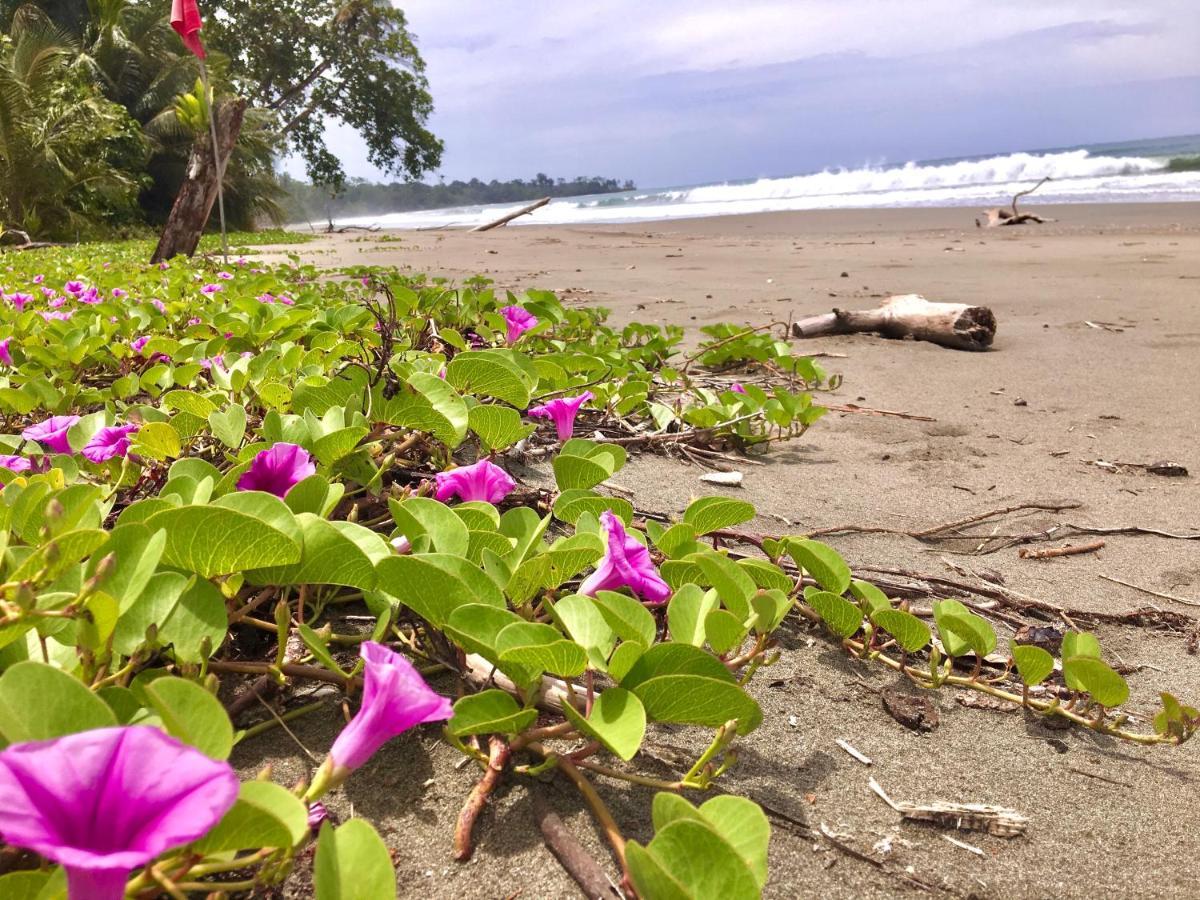 Coral Hill Bungalows Cahuita Eksteriør billede