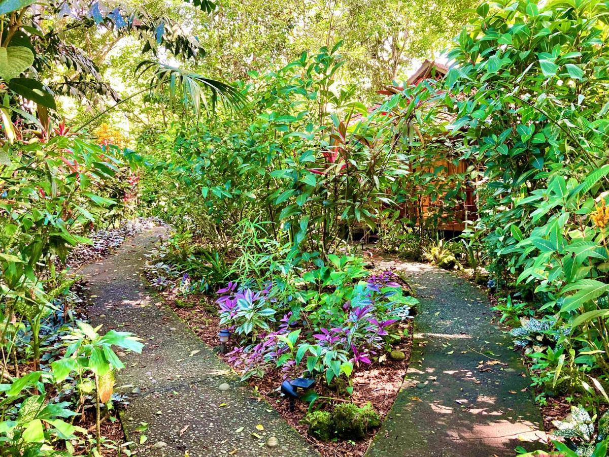 Coral Hill Bungalows Cahuita Eksteriør billede