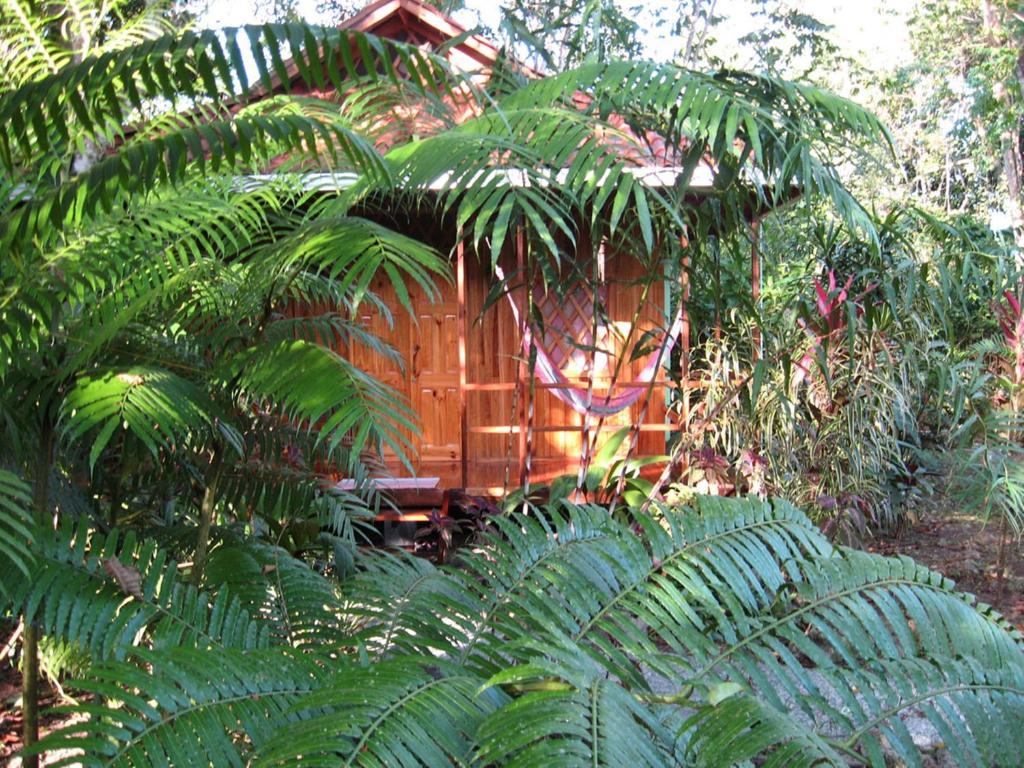 Coral Hill Bungalows Cahuita Eksteriør billede