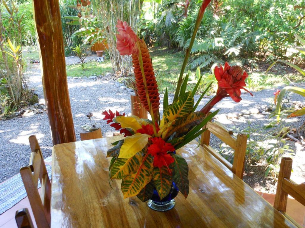 Coral Hill Bungalows Cahuita Eksteriør billede