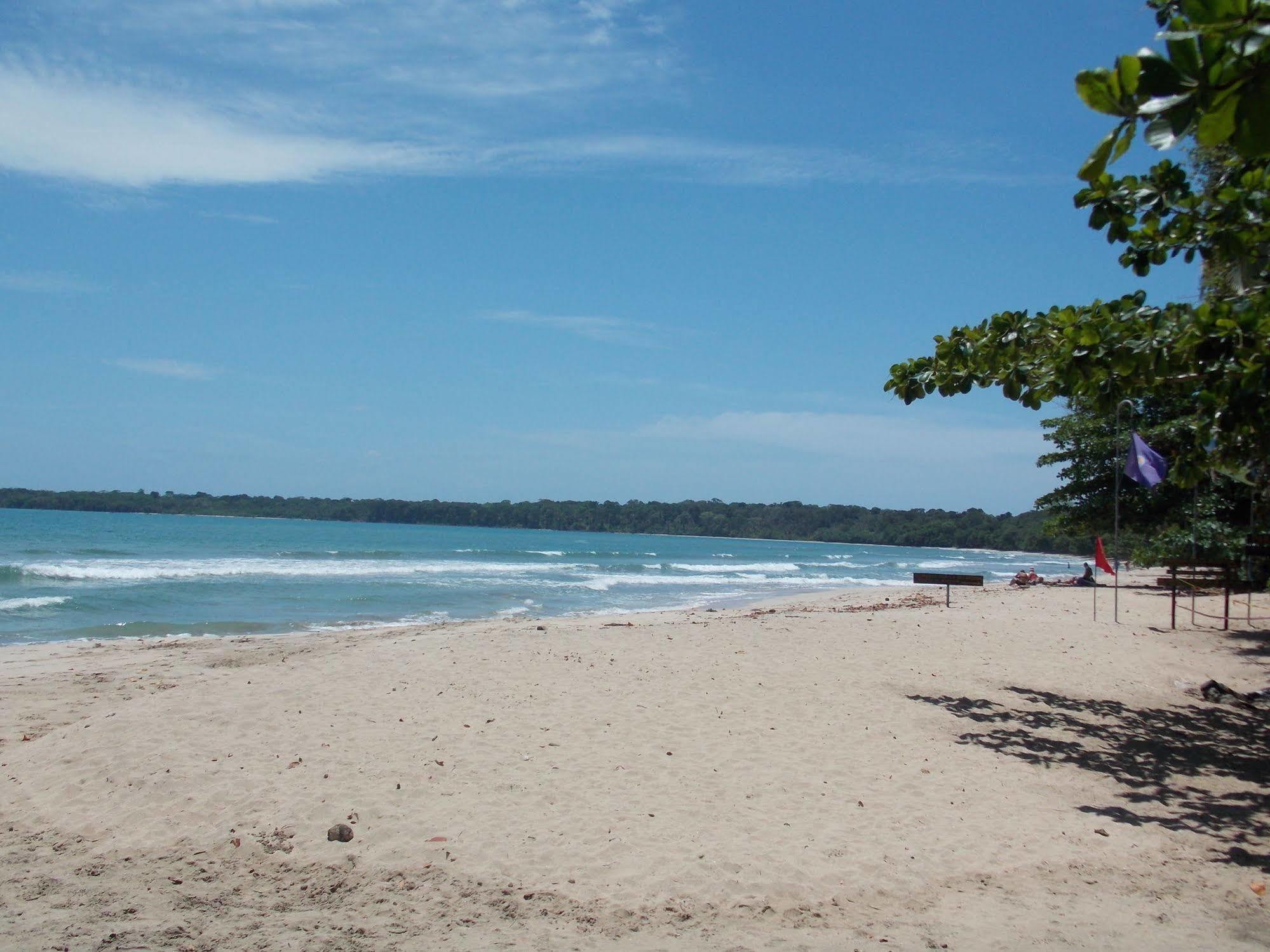 Coral Hill Bungalows Cahuita Eksteriør billede