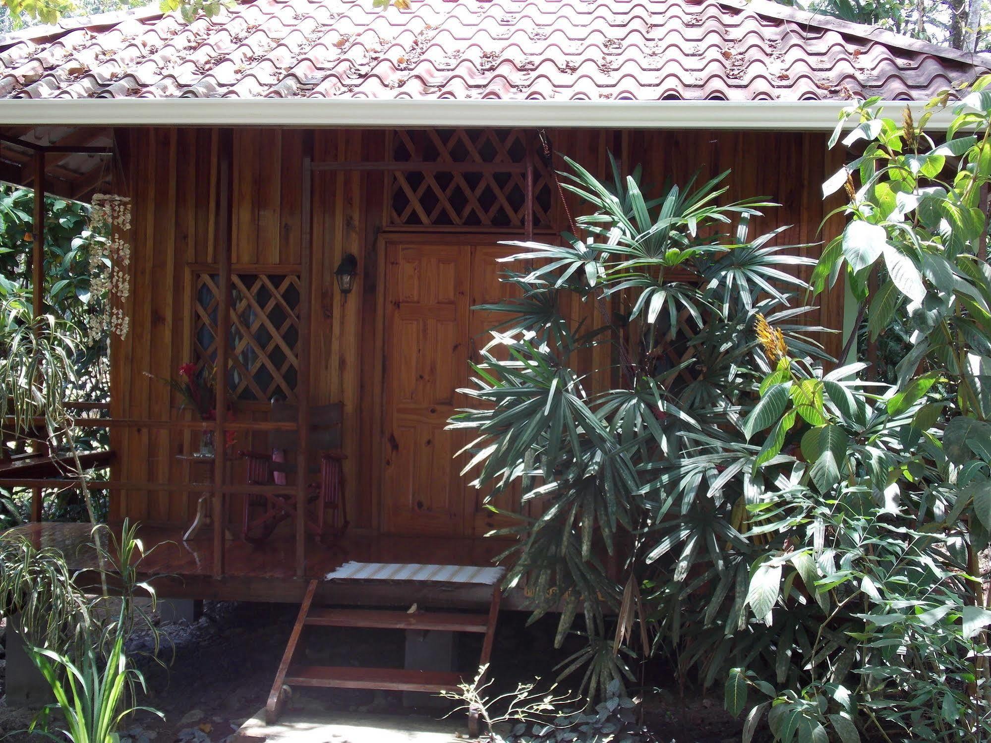 Coral Hill Bungalows Cahuita Eksteriør billede