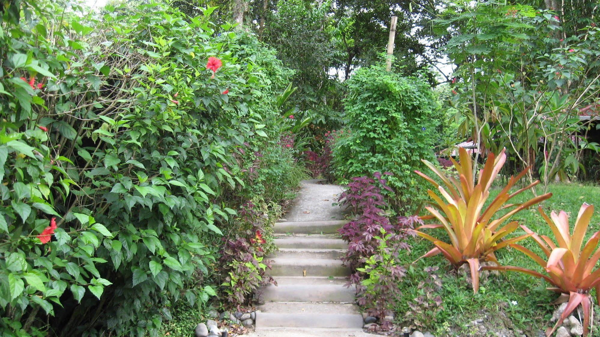 Coral Hill Bungalows Cahuita Eksteriør billede