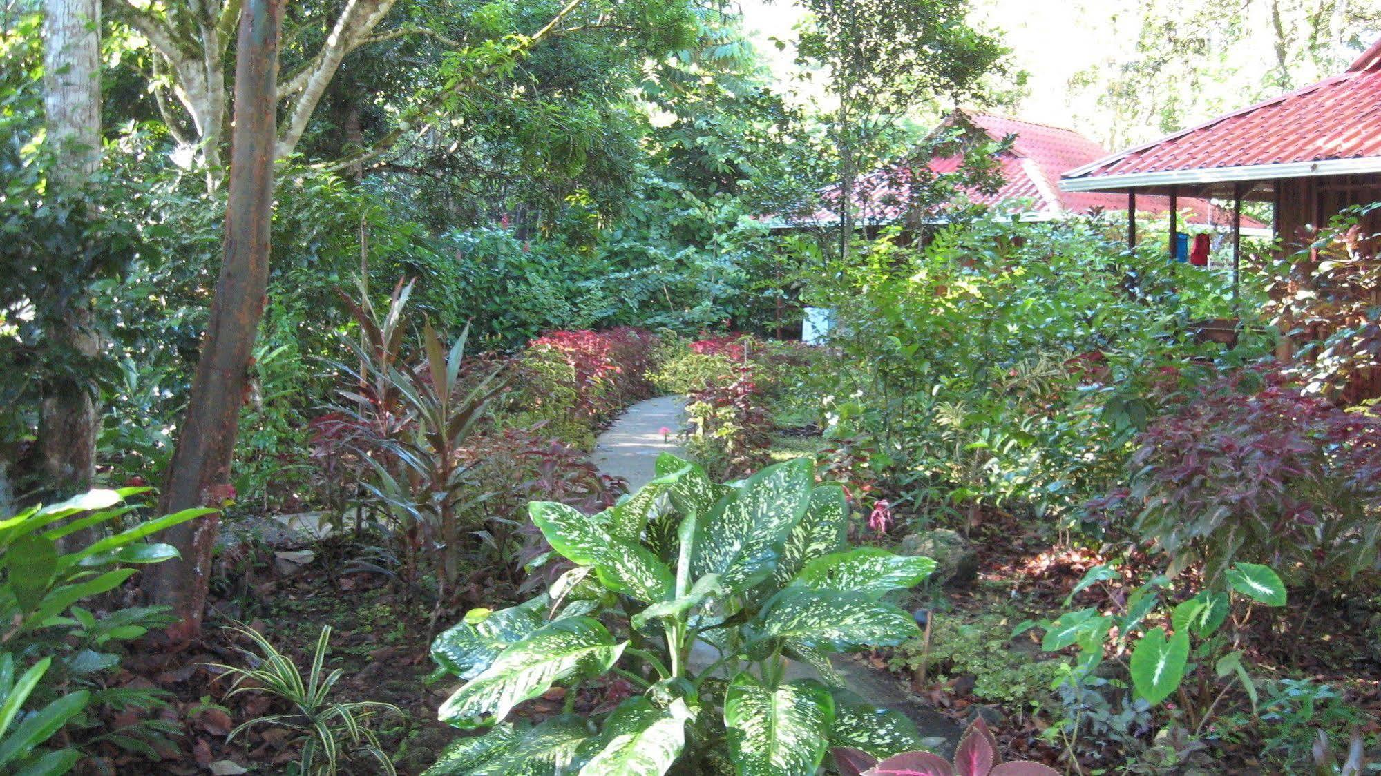 Coral Hill Bungalows Cahuita Eksteriør billede