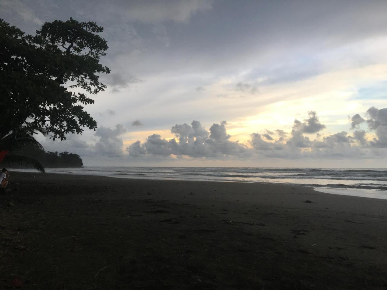 Coral Hill Bungalows Cahuita Eksteriør billede