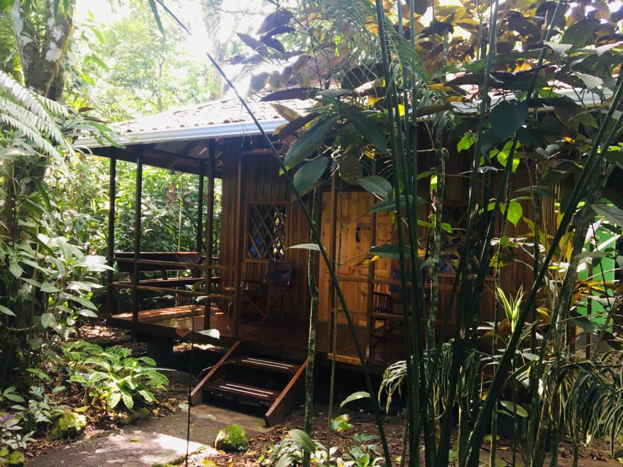 Coral Hill Bungalows Cahuita Eksteriør billede